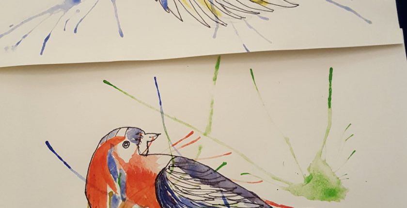 Pen and paint drawing of two birds