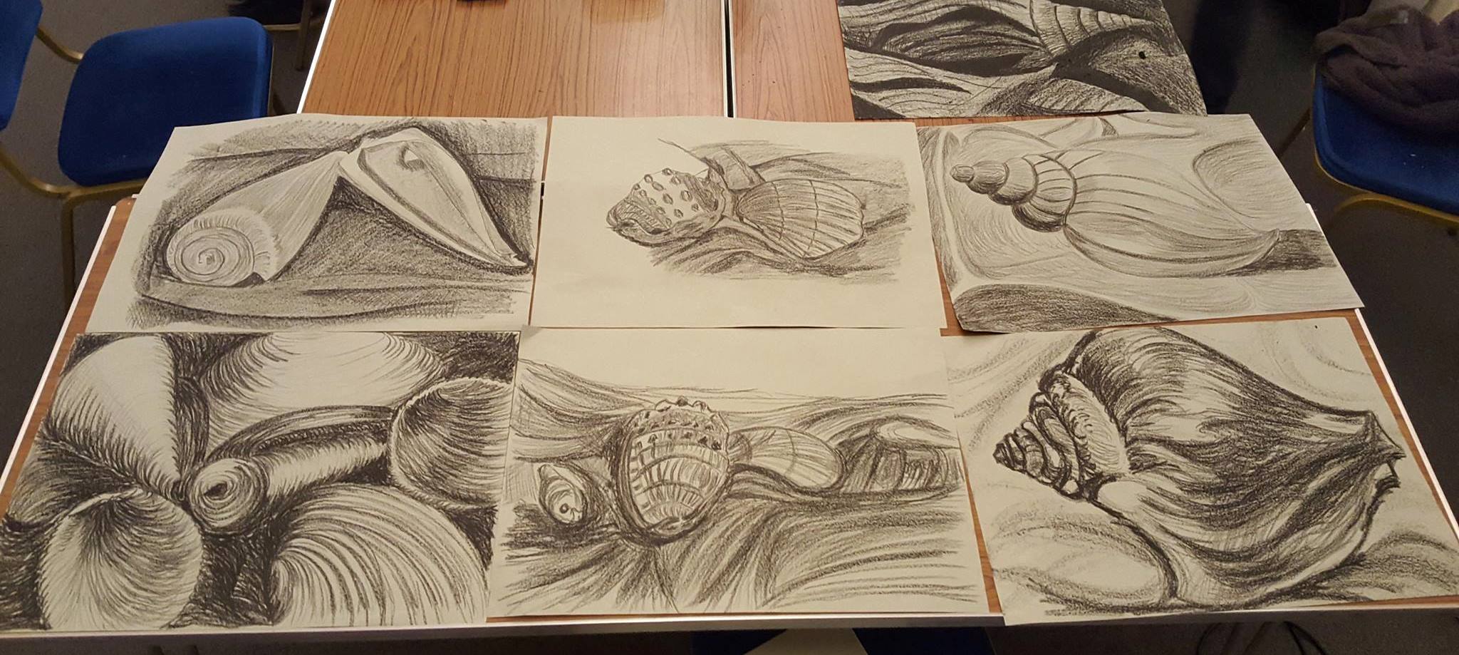 Six charcoal drawings of shells