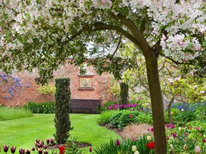 Garden with tree blossom
