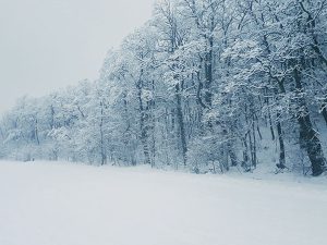 Wintery snow landscape scene