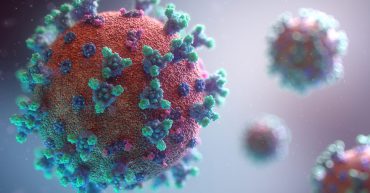 Coronavirus cells